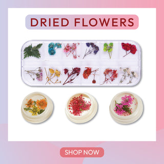 Dried Flowers