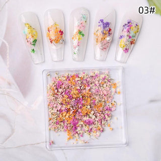 1 Box Natural Real Dry Flower Charm - S220-03
