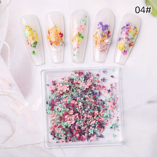 1 Box Natural Real Dry Flower Charm - S220-04-2 - Fruit of the Forest