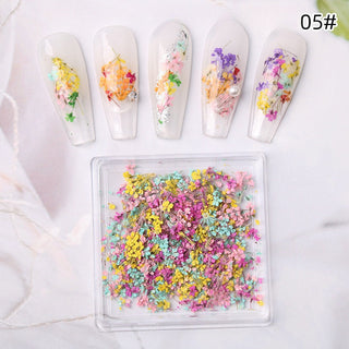 1 Box Natural Real Dry Flower Charm - S220-05
