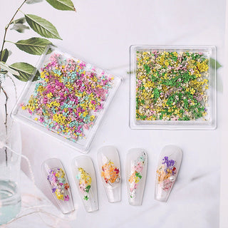 1 Box Natural Real Dry Flower Charm - S220-05