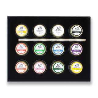 LDS Draw Painting Gel Nails Polish Nail Art Set: 01-12 + 1 LAVIS Double Head Liner Nail Art Brush