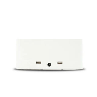 SNS Cordless UV LED Lamp