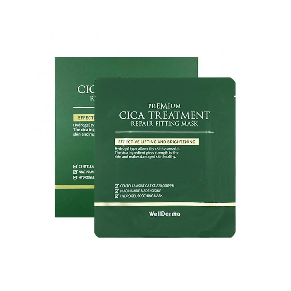 WellDerma Premium Cica Treatment Repair Fitting Mask
