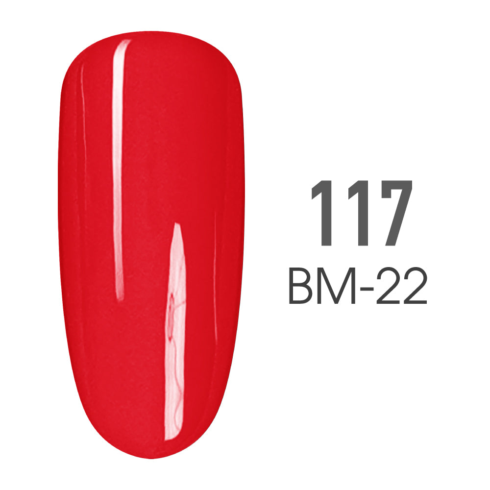 SNS Pro 3 in 1 - 117 BM-22 - THAT’S RIDICULOUS  - Dip, Gel & Lacquer Matching