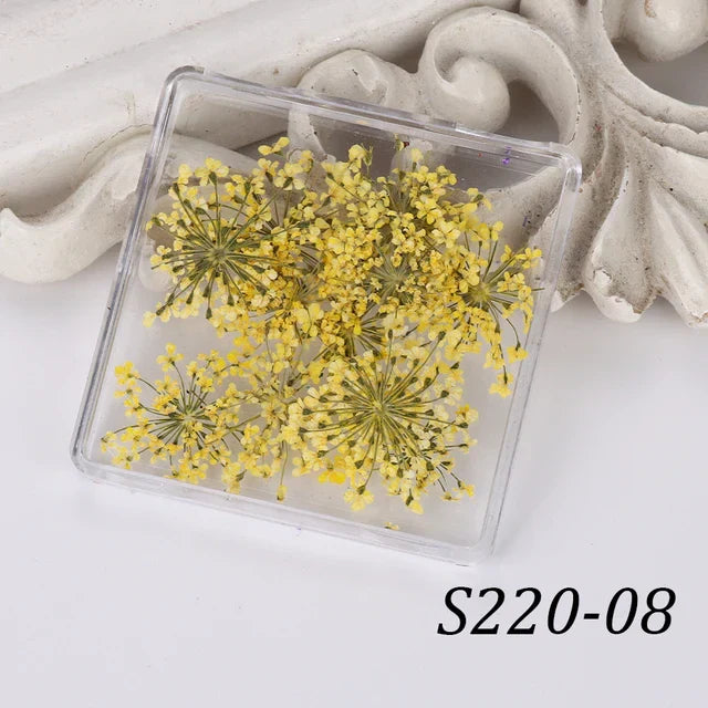 1 Box Natural Real Dry Flower Charm - S220-08