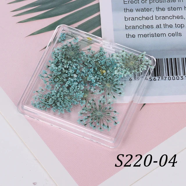 1 Box Natural Real Dry Flower Charm - S220-04