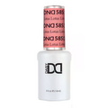 Gel Polish Only