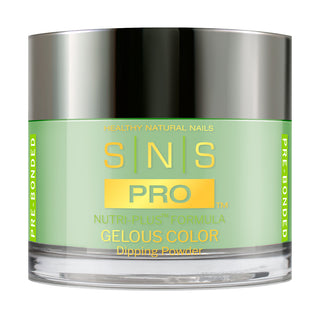 SNS Pro Dipping Powder - 108 SG-11- MANDALAY HILL - Beige Collection