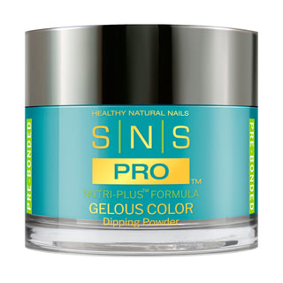 SNS Pro Dipping Powder - 115 LV-10- CHATEAU - Beige Collection