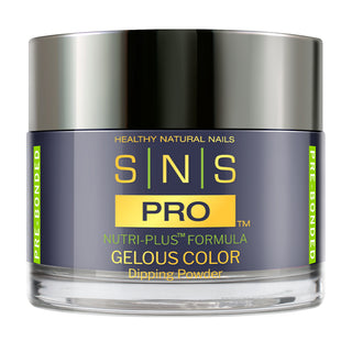 SNS Pro Dipping Powder - 040 WW30 - PLUM PUDDING - Burgundy Collection
