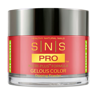 SNS Pro Dipping Powder - 042 AC27 - EPIPHANY - Burgundy Collection