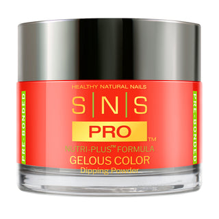 SNS Pro Dipping Powder - 096 LV07 - PALAIS - Burgundy