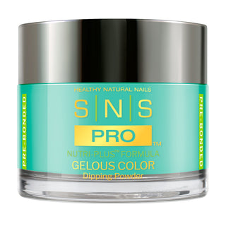 SNS Pro Dipping Powder - 101 LG20 - DEEP SEA ANGIER - Burgundy