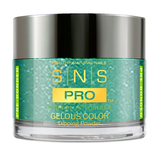 SNS Pro Dipping Powder - 104 BD20 - SASSY LINGERIE - Burgundy