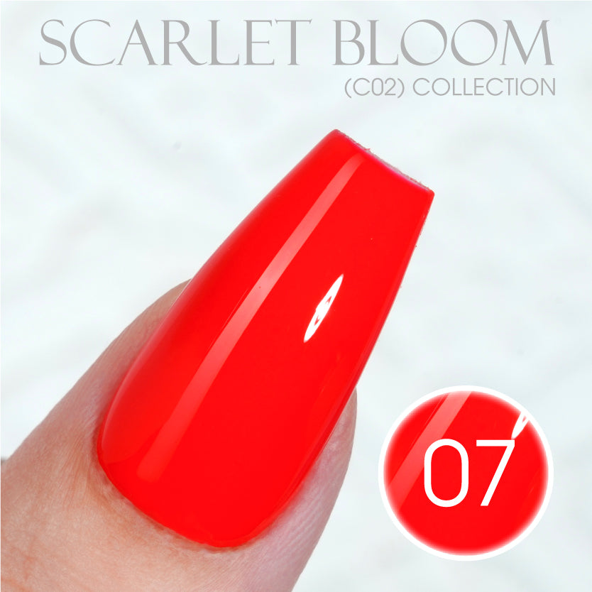 LAVIS C02 - Set 24 Colors - Gel Polish 0.5 oz - Scarlet Bloom Collection V2
