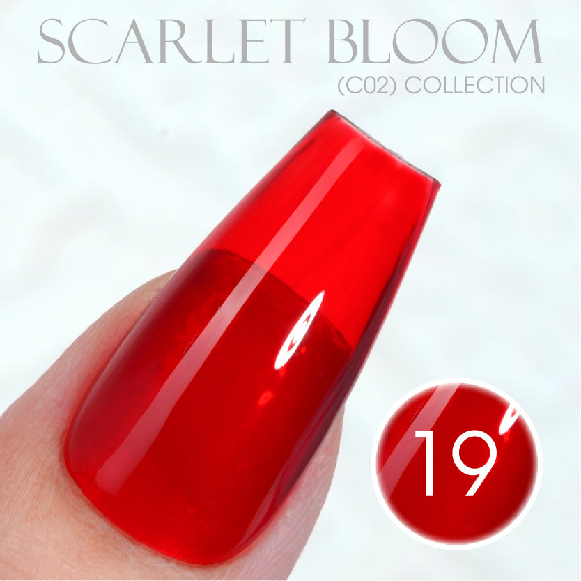 LAVIS C02 - Set 24 Colors - Gel Polish 0.5 oz - Scarlet Bloom Collection V2