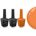 Gel Polish + Base Top