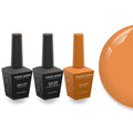 Gel Polish + Base Top