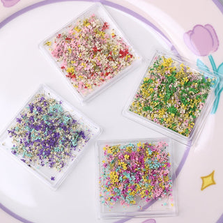 1 Box Natural Real Dry Flower Charm - S220-05