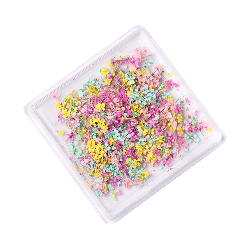 1 Box Natural Real Dry Flower Charm - S220-05
