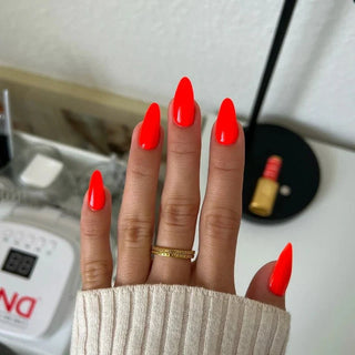 DND Diva Gel Nail Polish Duo - DND DV Part 6 - Set 6 Colors - Basic Beach Set - DTK Nail Supply