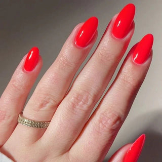 DND Diva Gel Nail Polish Duo - DND DV Part 7 - Set 6 Colors - Somewhere Over The Rainbow Set - DTK Nail Supply