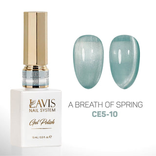 LAVIS Cat Eyes CE5 (Ver2) - Set 12 Gel Polish 0.5 oz - A Breath Of Spring Collection - DTK Nail Supply