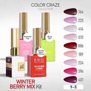 LDS Gel Kit 9 - 5 - Winter Berry Mix Collection + Base & Top - DTK Nail Supply