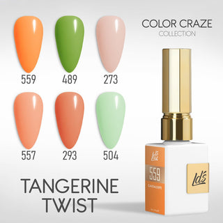 LDS Gel Set 6 - 17 - Tangerine Twist - 559, 489, 273, 557, 293, 504 - DTK Nail Supply