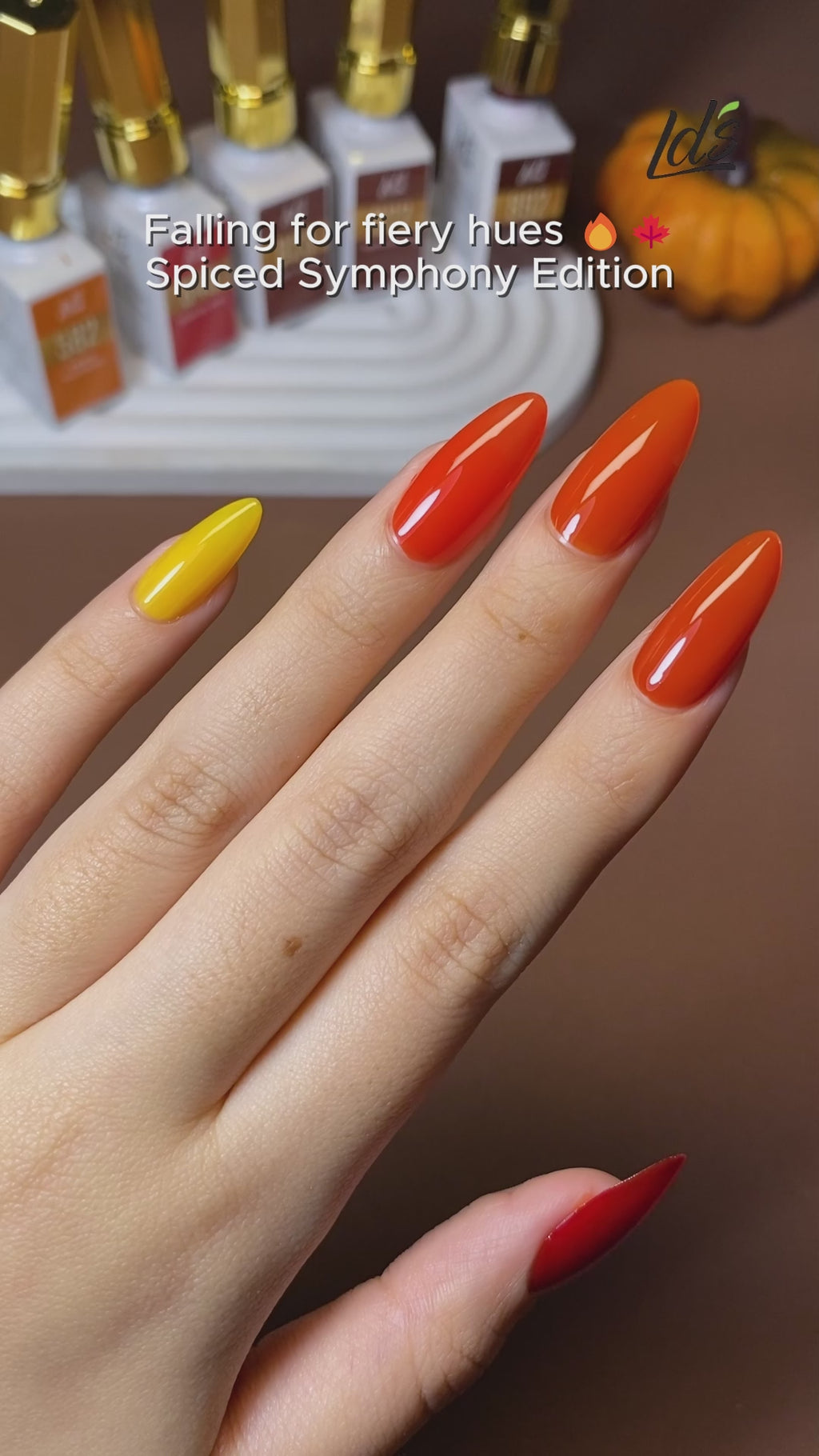 LDS Set of 36 Gel Polish (0.5oz) - Spiced Symphony Fall & Winter Collection
