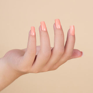 LDS Healthy Gel & Matching Lacquer Starter Kit: 061, 062, 063, 064, 065, 066, Base, Top & Strengthener