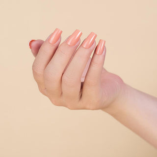 LDS Healthy Gel & Matching Lacquer Starter Kit: 061, 062, 063, 064, 065, 066, Base, Top & Strengthener