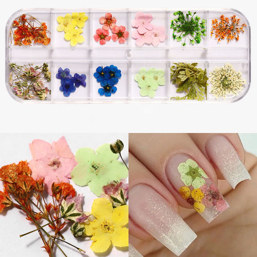 Mix Dried Flowers Nail Decorations - QT0188-03
