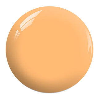  Gelixir Acrylic & Powder Dip Nails 151 - Orange Colors by Gelixir sold by DTK Nail Supply