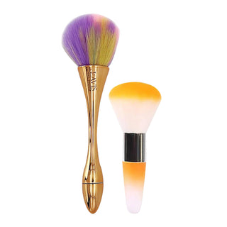 1 LDS BRUSH + 1 MINI BRUSH