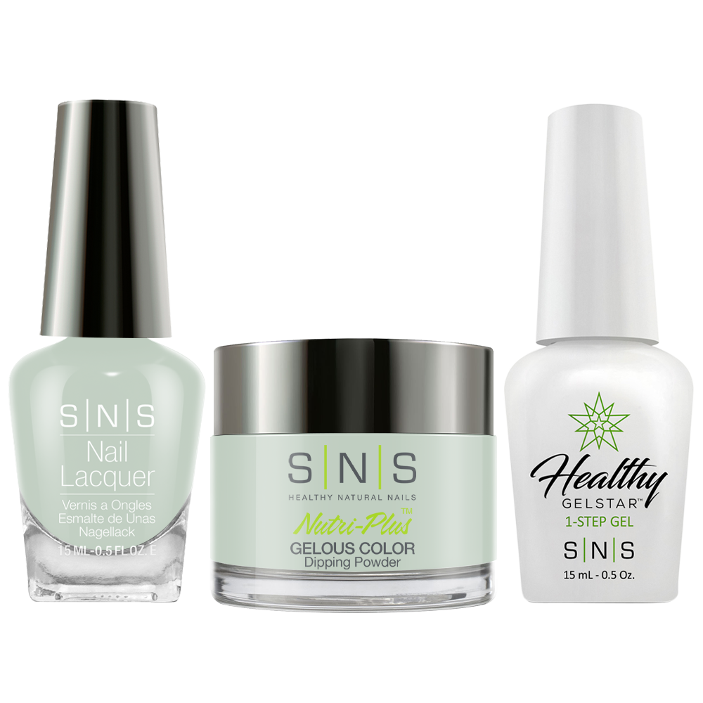 SNS 3 in 1 - DW04 - Dip (1.5oz), Gel & Lacquer Matching