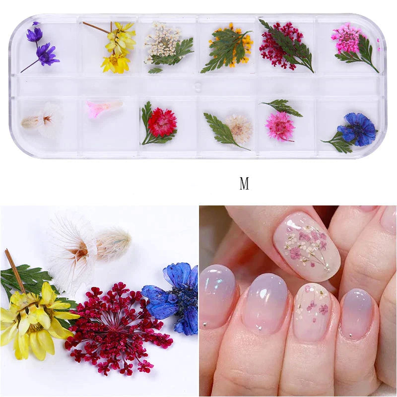 Mix Dried Flowers Nail Decorations - M