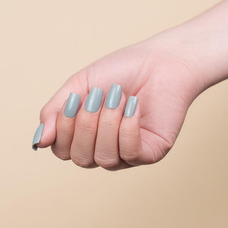 LDS 3 in 1 - 017 Shady Lady Gray - Dip (1.5oz), Gel & Lacquer Matching