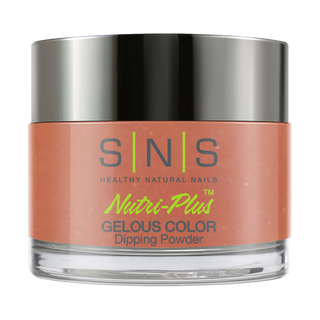  SNS Dipping Powder Nail - BM21 - Brown Neutral Colors by SNS sold by DTK Nail Supply